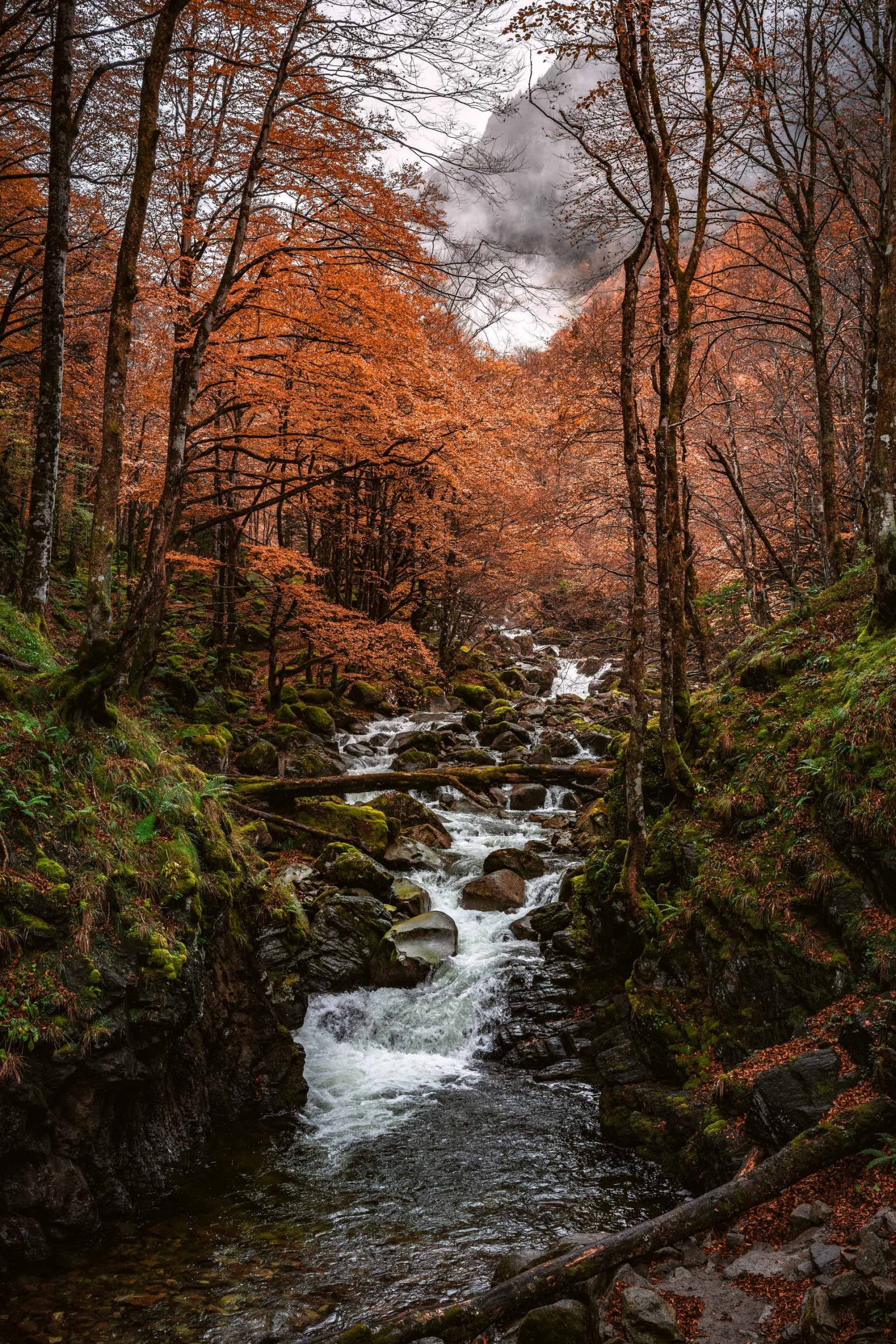 AT#2_riviere_d_ars_anaeljoly